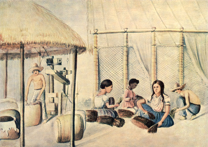 Separación y empaque del tabaco. Provincia de Mariquita. Lámina de la Comisión Corográfica, 1850-1859.