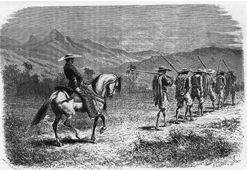 Voluntarios. Geografia pintoresca de Colombia: viaje del doctor Saffray (1861).